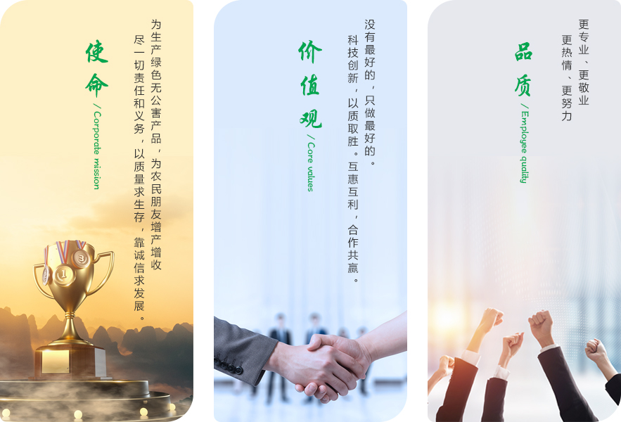 企业文化.jpg