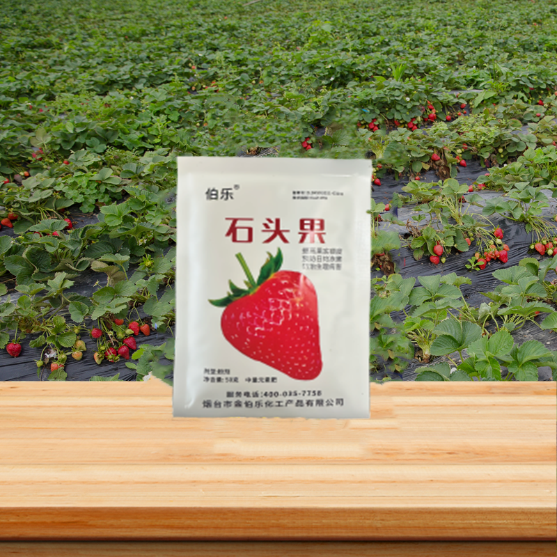 石头果.png